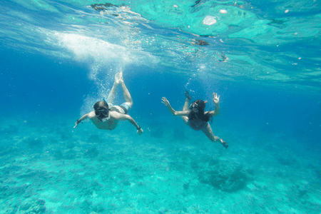 tourists diving in Cebu's clear waters
