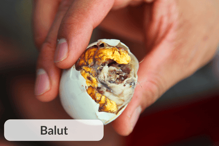 Balut: a fertilized duck egg