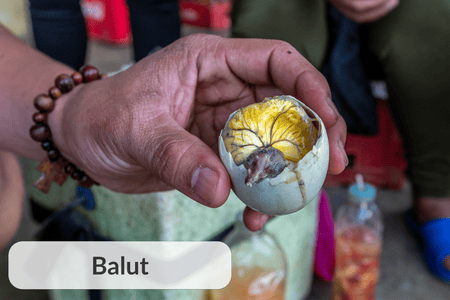 Balut (Fertilized Duck Egg)