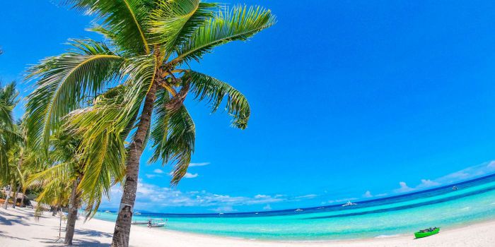 アイランドホッピングのまとめ