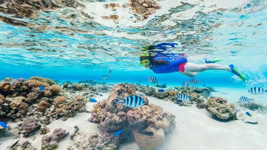 【ヒルトゥガン島】セブ島で一番人気のシュノーケリングスポット【2022年最新情報】