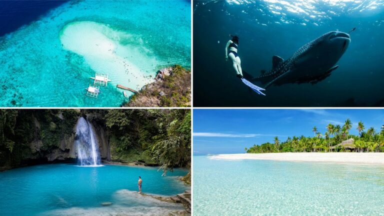 【セブ島観光のおすすめスポット25選】現地ツアー会社が厳選【2022年最新版】