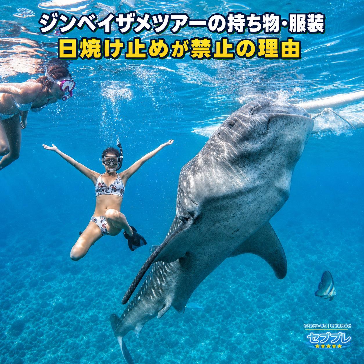 マスク・フィン・水着を着けたシュノーケラーとジンベイザメが写る水中実写。実際に使う装備の姿で持ち物を具体化する。