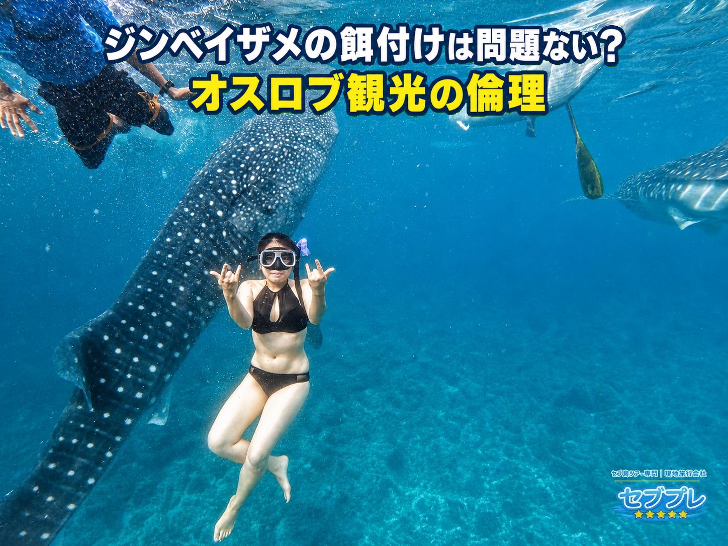 水面を見上げる構図で、ジンベイザメ2頭・観光客・白い船底と木製パドルが同時に写る水中実写。餌付けの現場に人と船とサメが密集している実態を示す。
