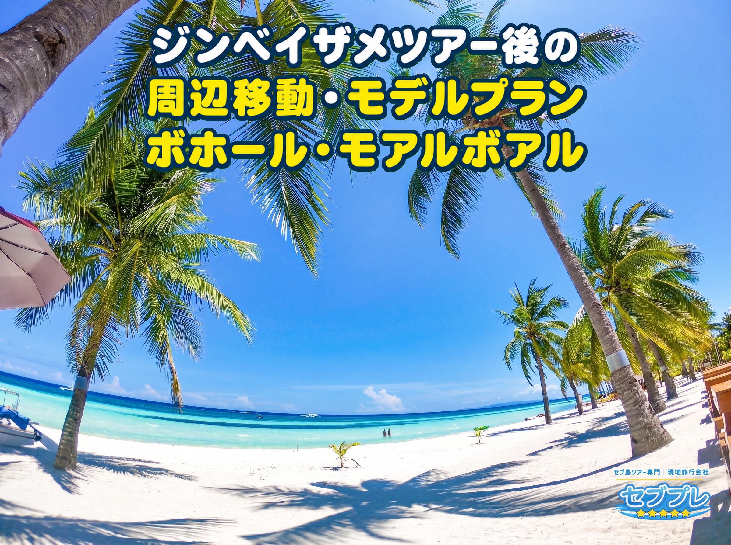 ヤシに囲まれた白砂ビーチを超広角で捉え、遠方に島影と水平線が見える風景実写。ツアー後にセブ周辺の島へ足を延ばす選択肢を印象づける。