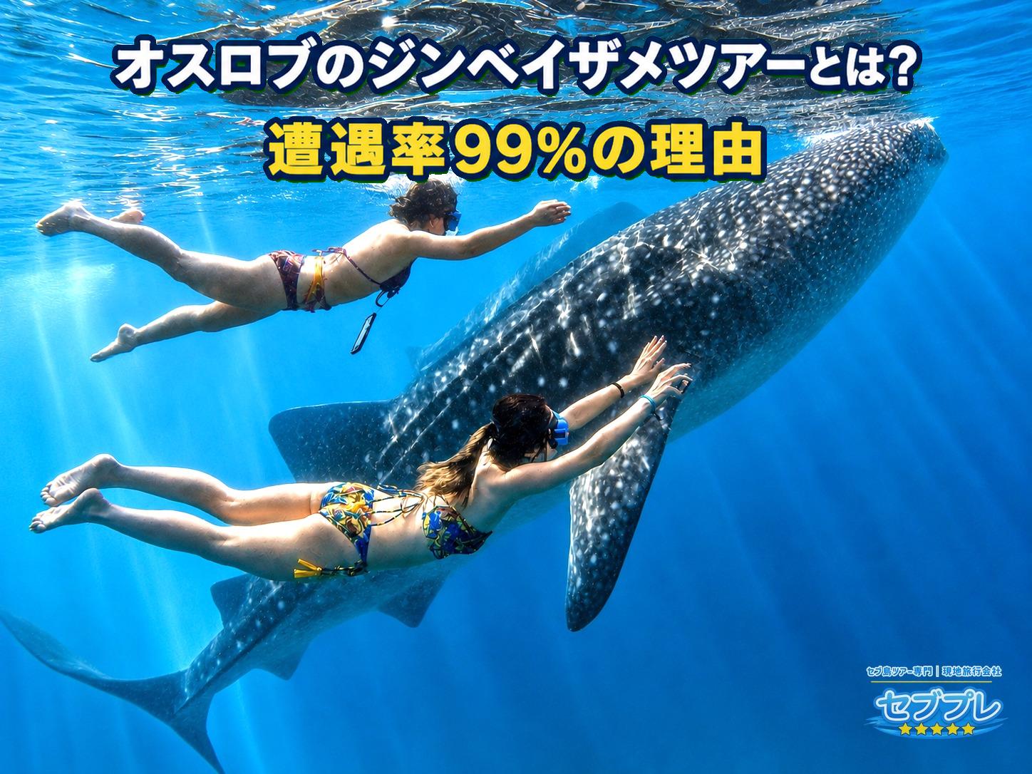 ジンベイザメの横を水着の2名が並んで泳ぐ水中実写。オスロブで実際にジンベイザメと泳げる体験そのものを示す。