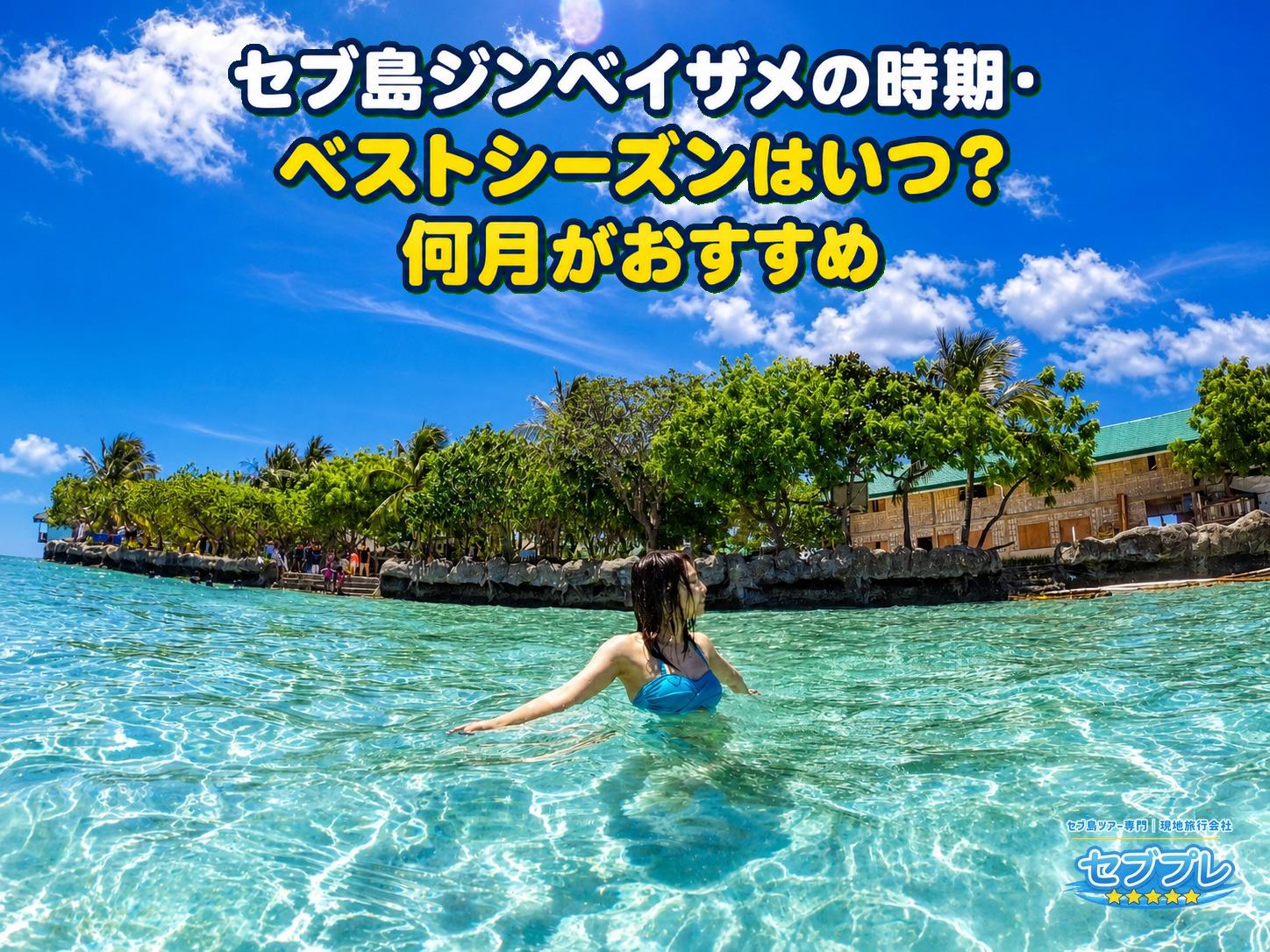 晴天・青空・太陽のフレアが入った透明な浅瀬とビーチの実写。海が穏やかで水が澄む好シーズンの雰囲気を伝える。