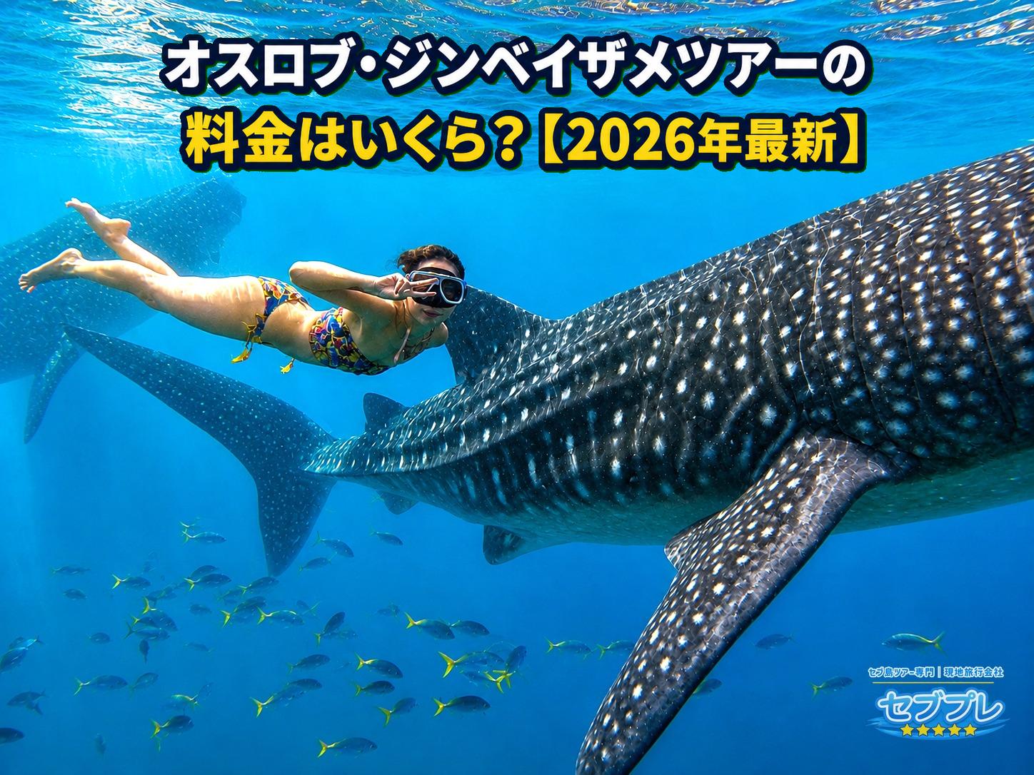 ジンベイザメのすぐ横を泳ぐ参加者の水中実写。画面上部に広い無地の海面があり、料金に含まれる遊泳体験を示す。