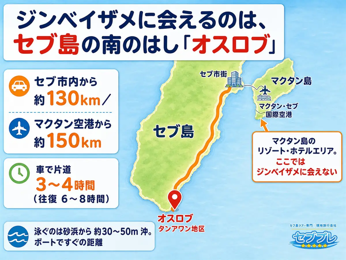 セブ島の中でオスロブはどこか(地図)|読者が最初につまずく「オスロブってどこ?ホテルの前じゃないの?」に1枚で答える。