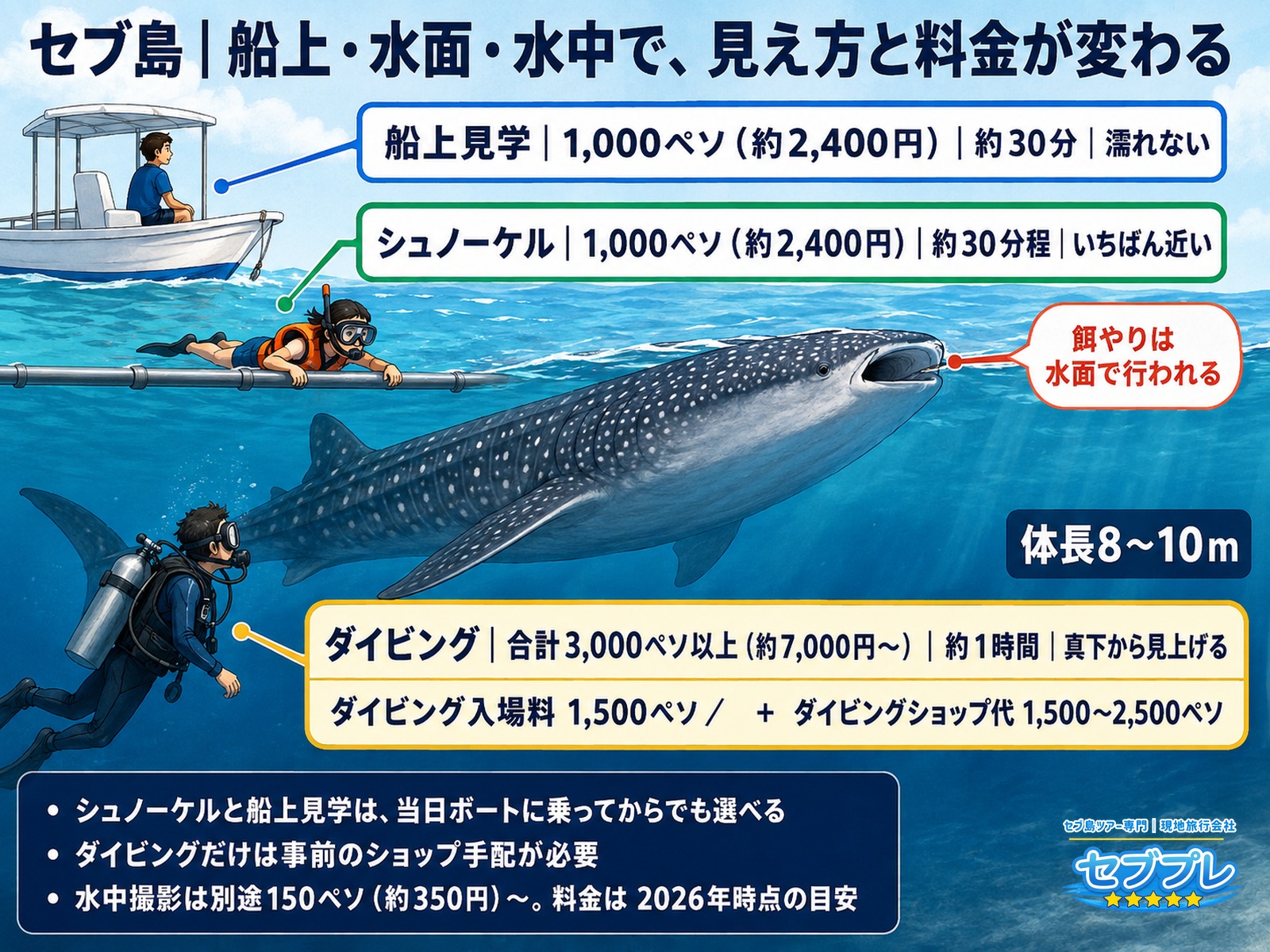 シュノーケル・ダイビング・船上見学の違い(海の断面図+料金)|「どれを選べばいいか」を、体がどこにあるかといくらかの2つで一度に見せる。餌やりは水面で行われるので、いちばん近いのはシュノーケル。