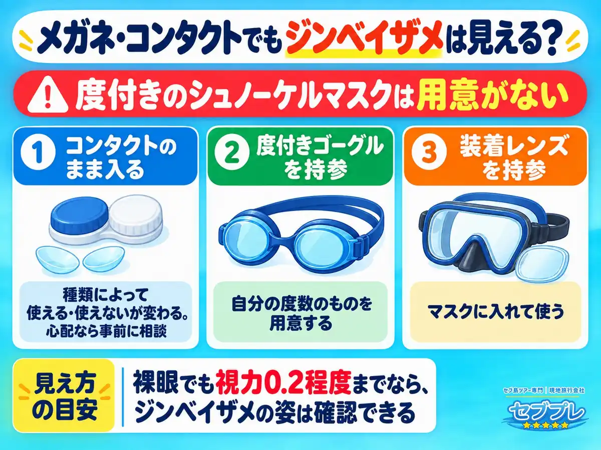 メガネ・コンタクトでジンベイザメは見える?|度付きマスクなし・視力0.2までの目安|「目が悪いけど見えるの?」に、度付きのシュノーケルマスクは用意がないと先に答える。裸眼でも0.2程度までなら姿は確認できる。