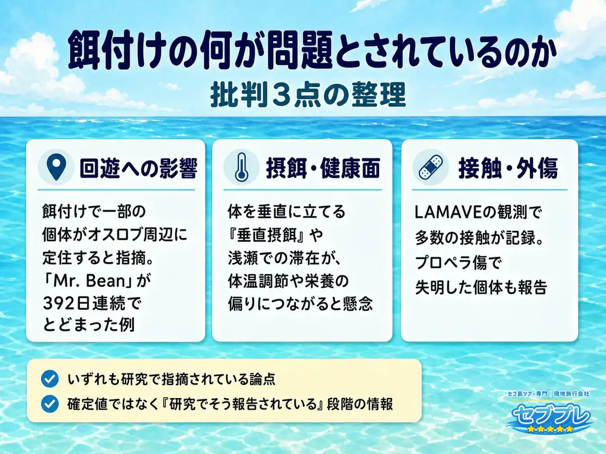 オスロブの餌付けの何が問題とされているのか|批判3点の整理|「餌付けはかわいそう?」という漠然とした不安に、批判は3点に整理できると答える。感情論ではなく研究で指摘されている論点。