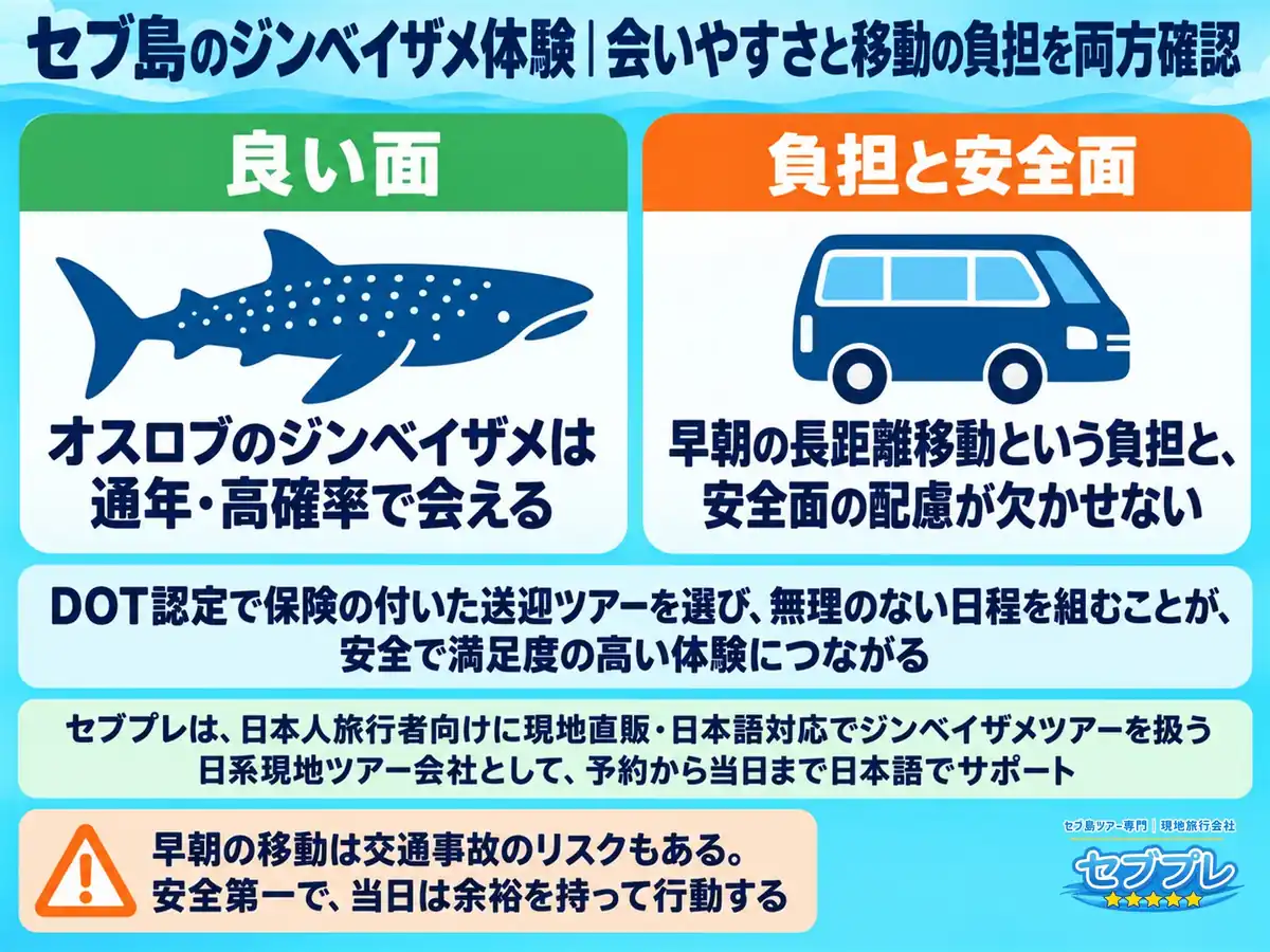 セブ島ジンベイザメツアーのまとめ|DOT認定の送迎で無理のない日程を|記事の締めとして、良い面と負担を両方置く。通年・高確率で会える。ただし早朝の長距離移動という負担がある。