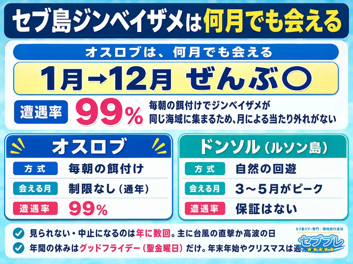 何月でも会える(12か月の帯)|「ジンベエザメのシーズンはいつ?」に、シーズンという考え方が無いことで答える。毎朝の餌付けなので、1月でも8月でも同じ。