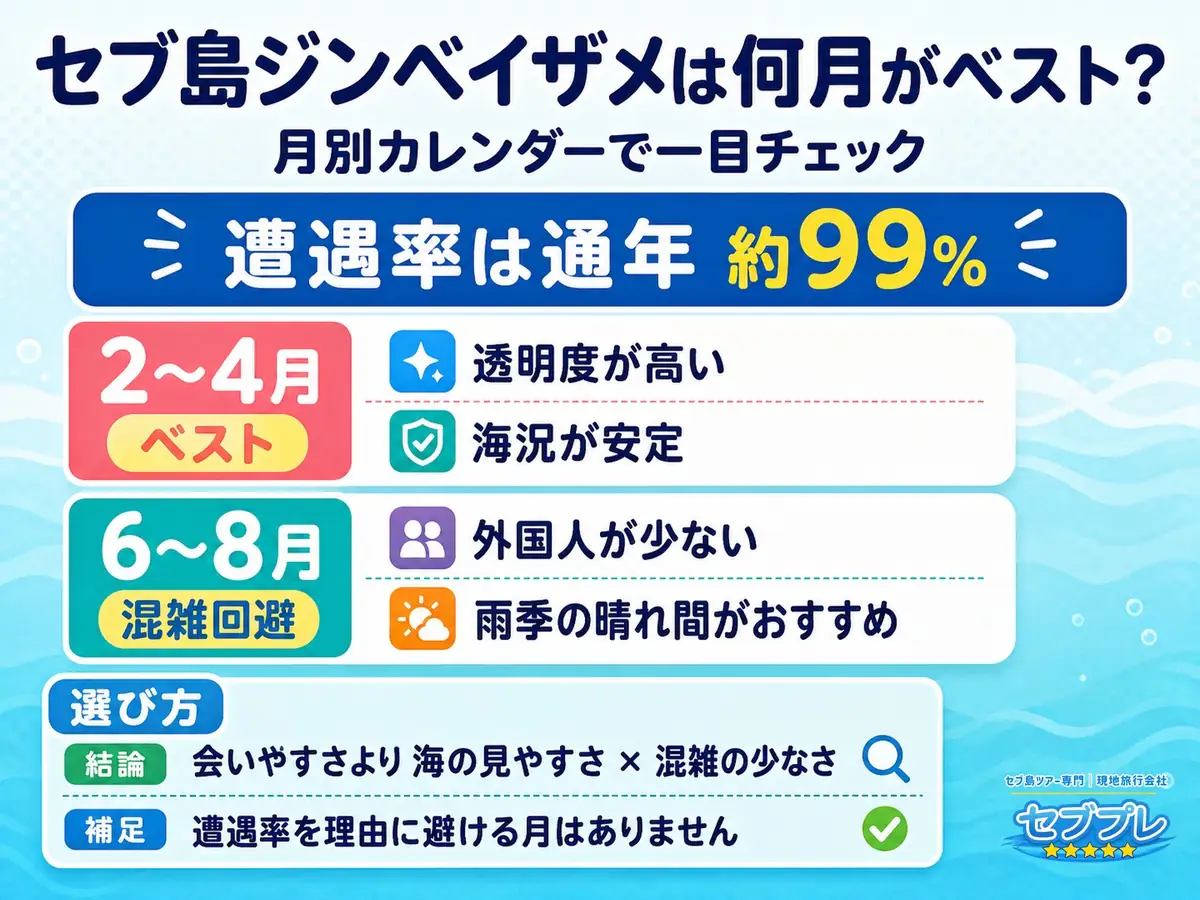 月別カレンダー(12か月×3項目)|「じゃあ何月に行けばいい?」に、月ごとの違いを1枚で答える。会えるかは全月同じ。違うのは海の穏やかさと混み具合。