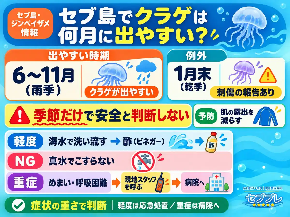 クラゲ|出やすい時期と、刺されたときの手順|「クラゲは大丈夫?」に、時期の傾向と刺されたときの手順の2つで答える。乾季でも刺傷の報告がある=時期を問わず露出を減らす。