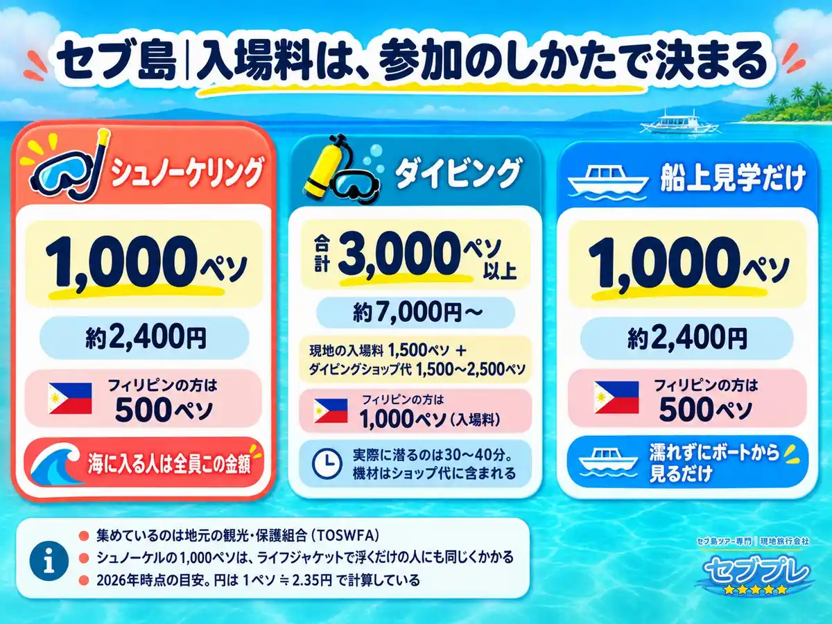 ジンベイザメ遊泳体験の入場料はいくら?