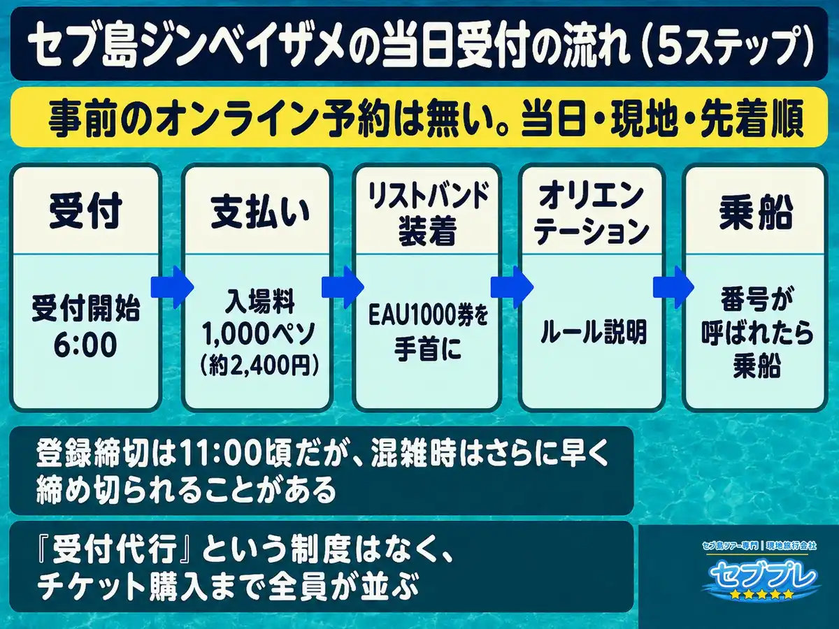 ジンベイザメツアーに予約は必要?当日受付の流れ