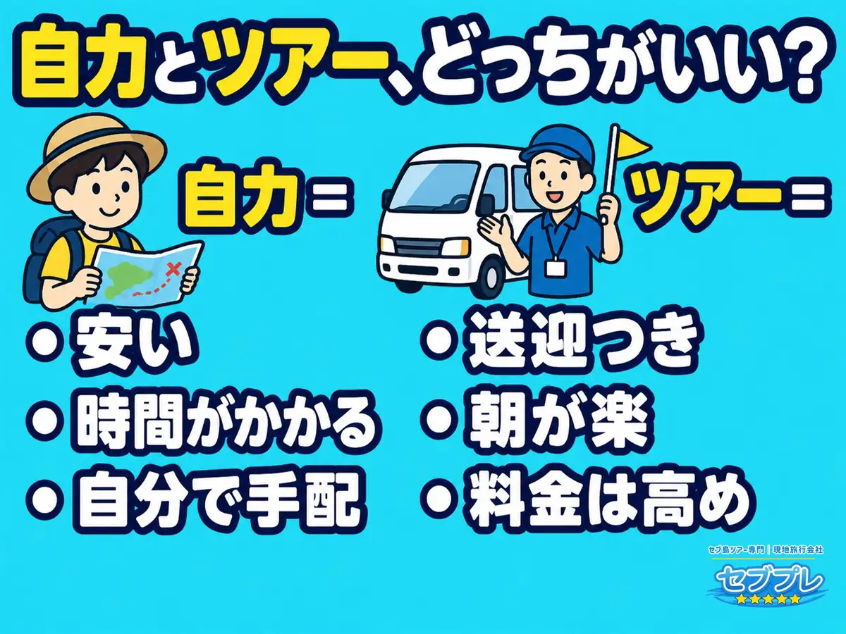 ジンベイザメは自力とツアー、どっちがいい?