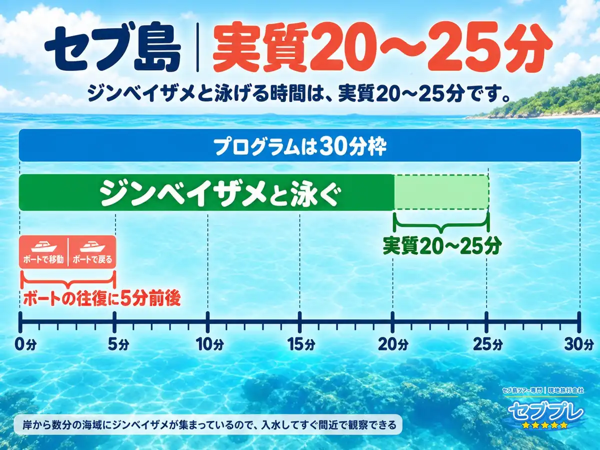 観察時間は実際何分?(30分枠と実質20〜25分)|「30分って聞いたけど、実際は?」に、実質20〜25分と答える。差はボートの往復5分前後。
