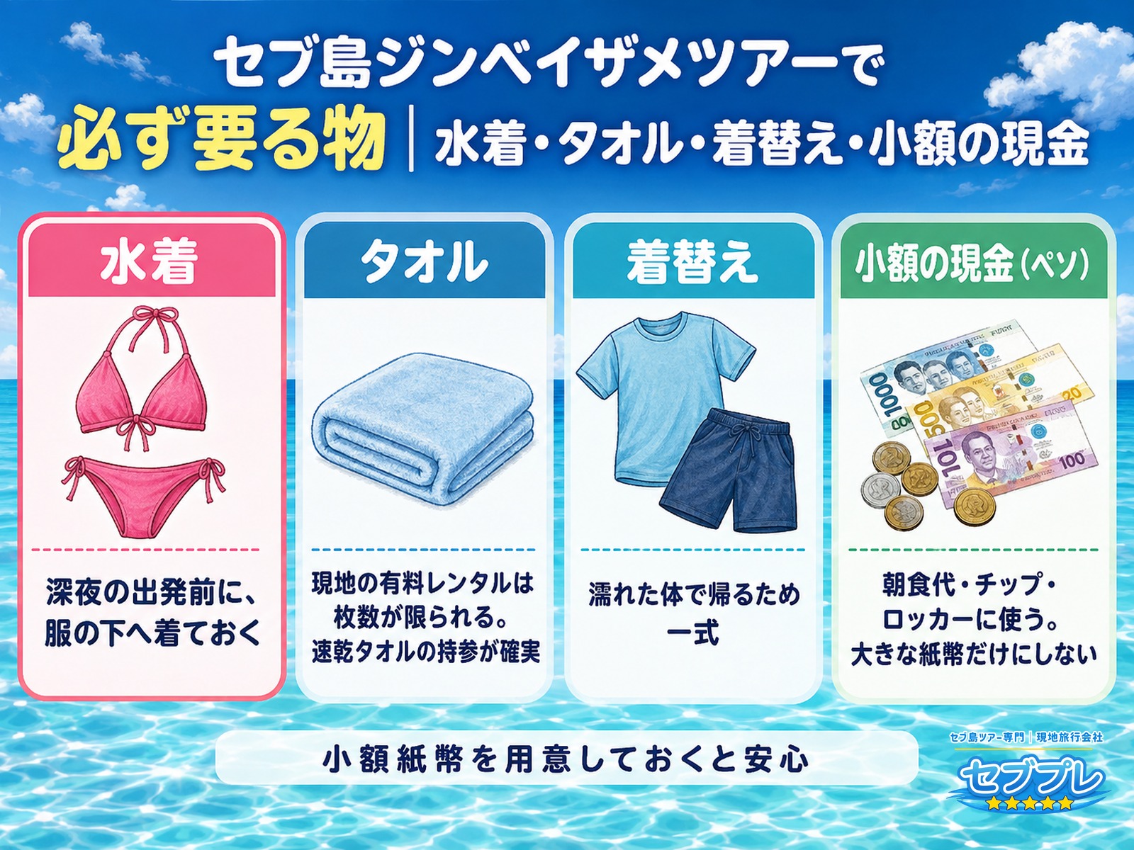 ジンベイザメツアー必須=水着・タオル・着替え・小額の現金