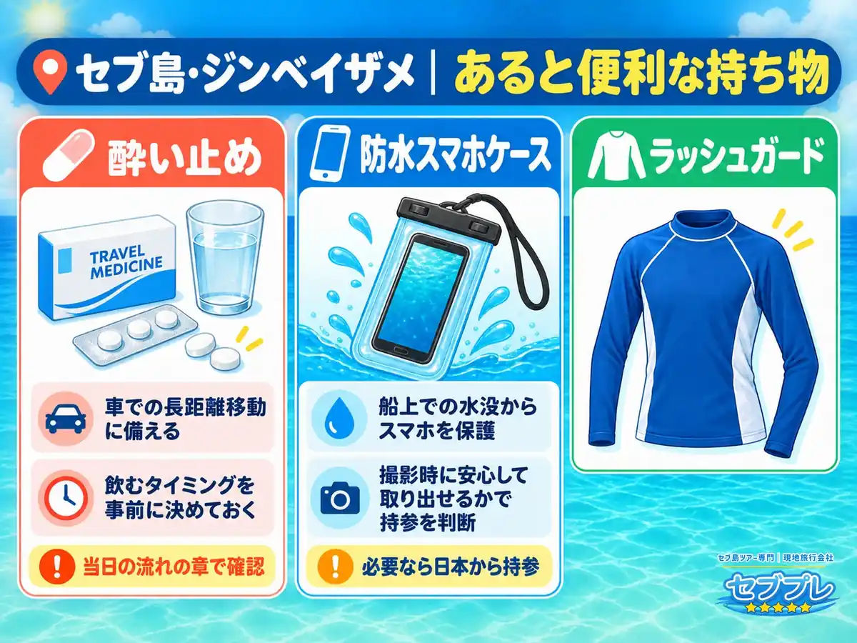 オスロブのジンベイザメ遊泳であると便利な物|酔い止め・防水ケース・ラッシュガード|「無くても行けるけど、あると全然ちがう物は?」に、3つで答える。ラッシュガードは日焼けとクラゲの両方を防げる。