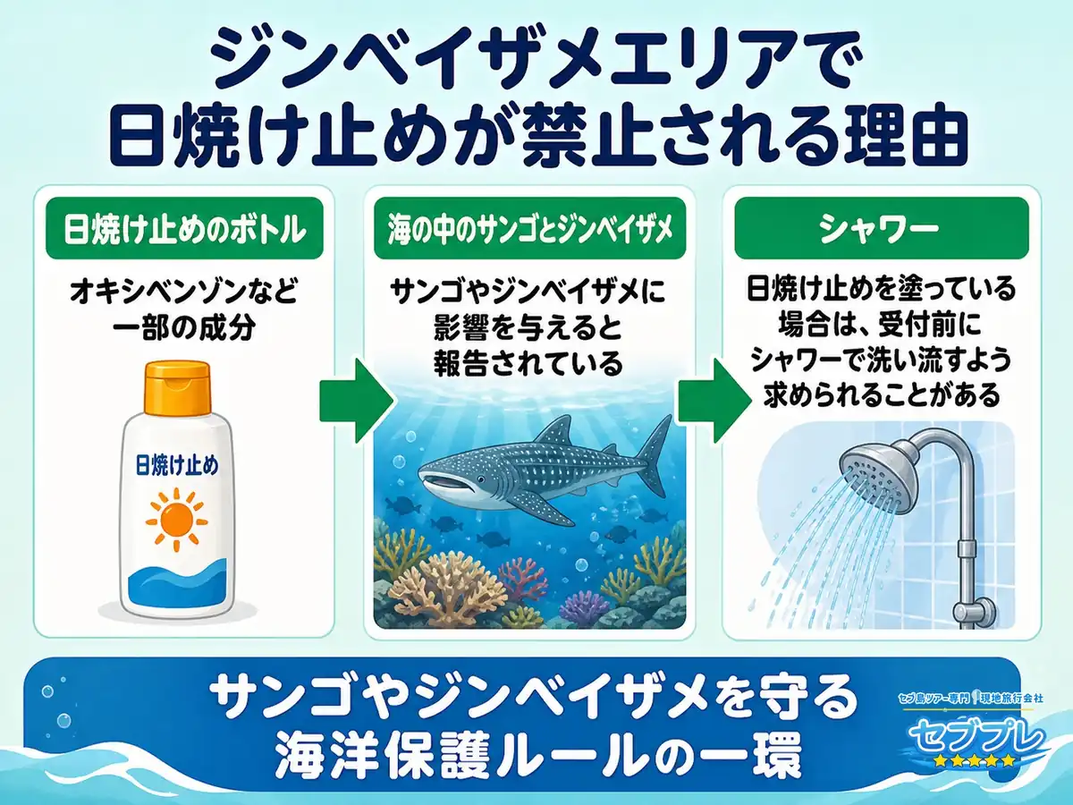 ジンベイザメ保護区で日焼け止めが禁止される理由|サンゴへの影響と受付会場のシャワー|「どうして日焼け止めがだめなの?」に、成分が海の生き物に影響すると報告されているからと答える。塗っている場合は海に入る前に、受付会場のシャワーで洗い流すよう求められることがある。