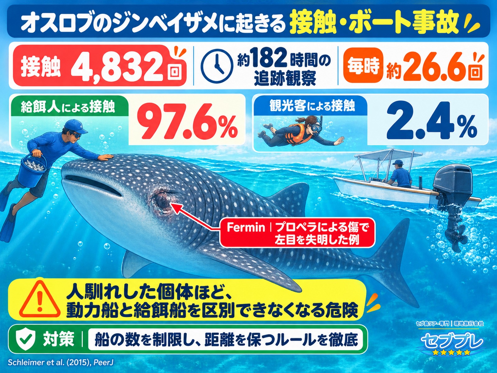 オスロブのジンベイザメと船の接触事故|182時間で4,832回の記録とFerminの失明|「サメは傷ついていないの?」に、接触は実際に多数記録されていると数字で答える。約182時間の観察記録中に4,832回=毎時約26.6回。