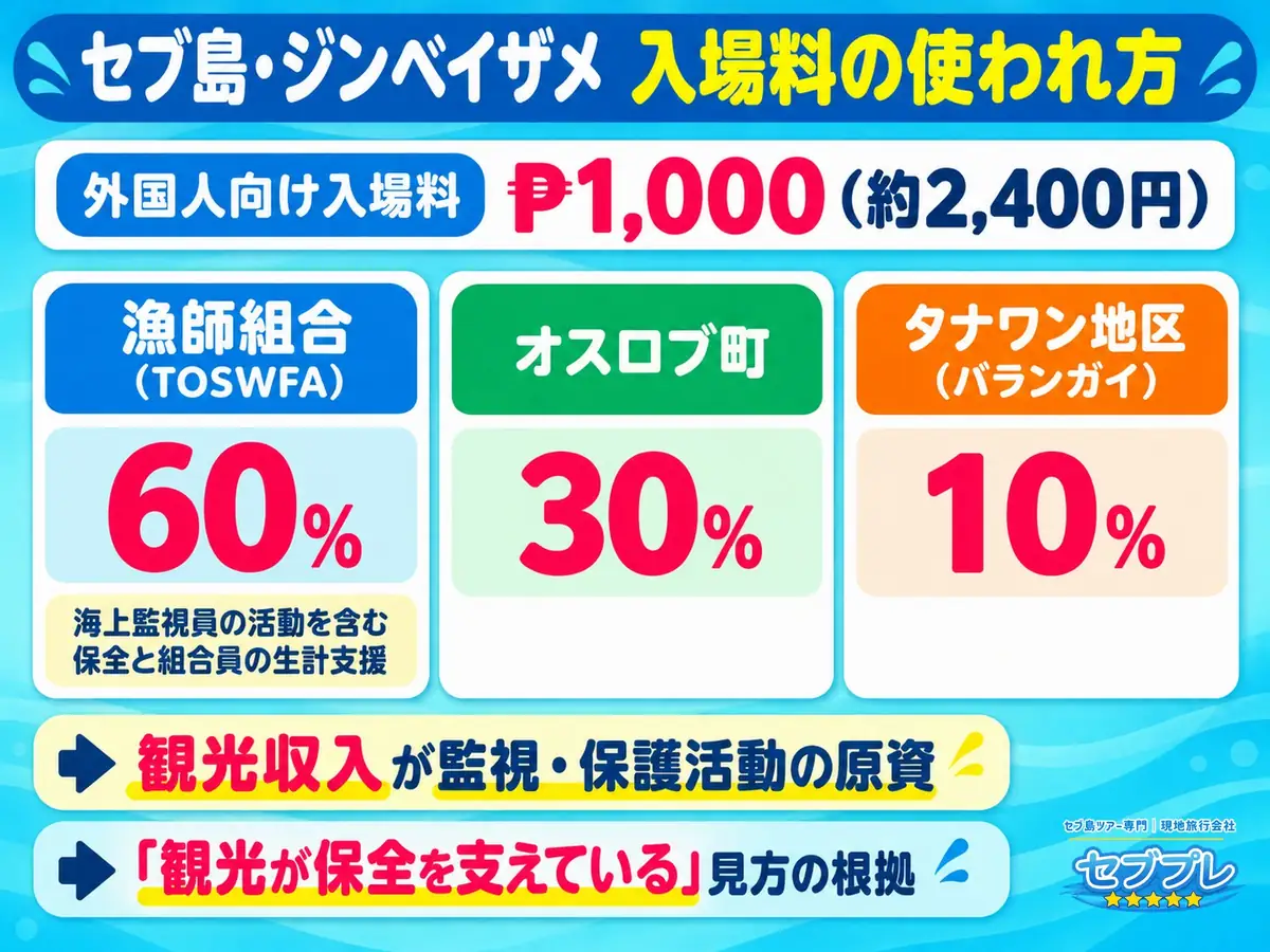 オスロブの入場料はどこへ行く?|漁師組合・海上監視員・自治体への分配|「払ったお金は何に使われるの?」に、一部が保全の費用に回っていると答える。