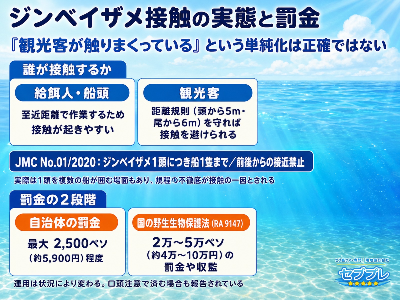 オスロブのジンベイザメ接触の実態と罰金|自治体2,500ペソ・国は2万〜5万ペソ|「触っているのは観光客なの?」という思い込みを正し、罰金の重さを2段階で示す。接触は運営側でも起こる。罰金は自治体と国で桁が違う。