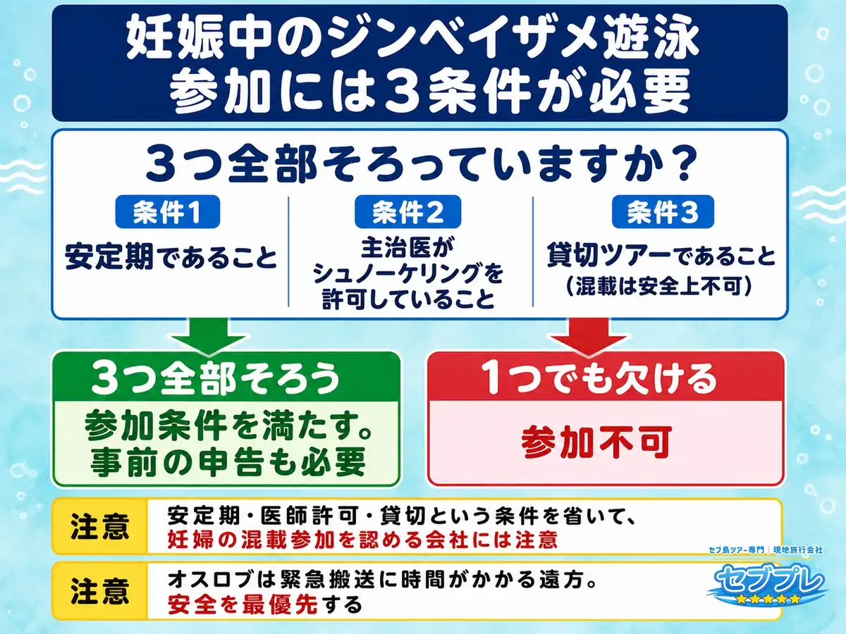 妊娠中のジンベイザメ遊泳3条件|安定期・医師の許可・貸切のみ|「どんな条件なら参加できる?」に、3つ全部そろったときだけと答える。混載は安全上できない。
