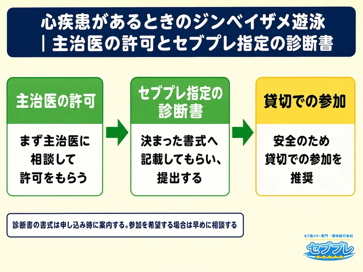 心疾患があるときのジンベイザメ遊泳|主治医の許可とセブプレ指定の診断書|「持病があるけど参加できる?」に、書類がそろえば参加できる場合があると答える。必要なのは2つ。医師の許可と、決まった書式の診断書。
