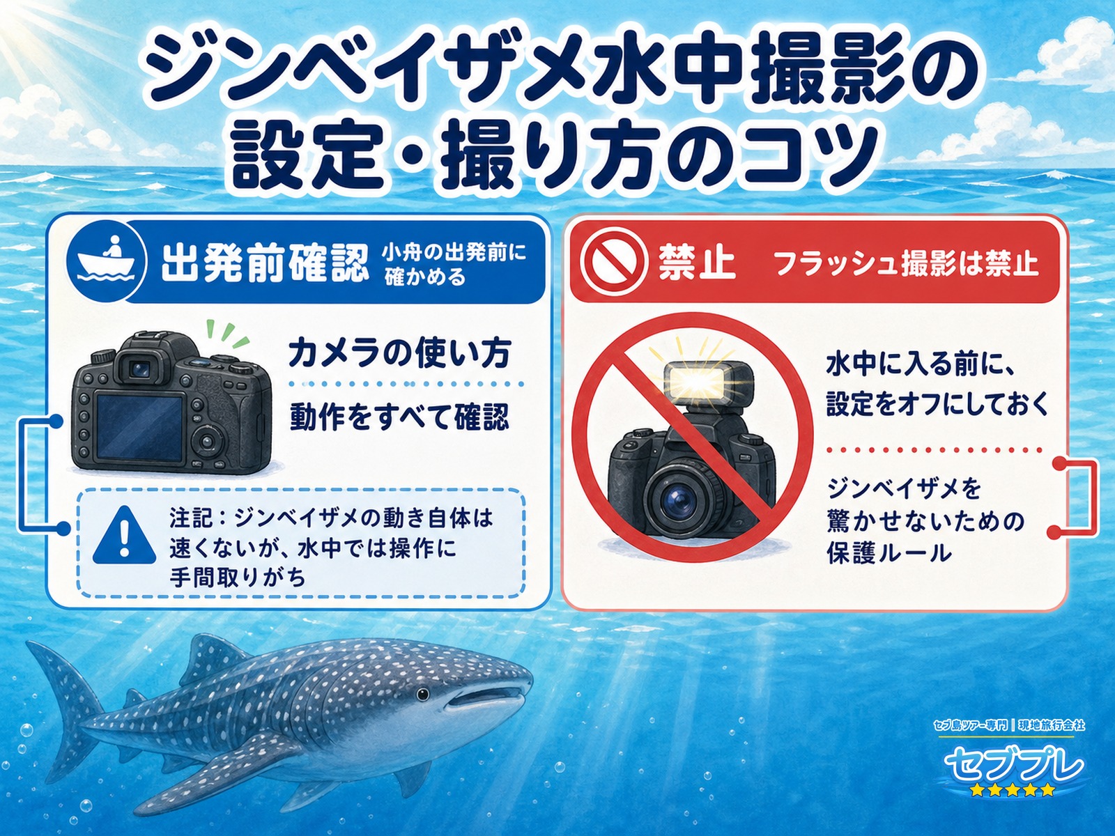 ジンベイザメを水中で撮るコツ|出発前のカメラ確認とフラッシュ禁止|「うまく撮るには?」に、小舟に乗る前に全部確かめておくと答える。フラッシュは禁止。入る前にオフにする。この1点は絶対に落とさない。