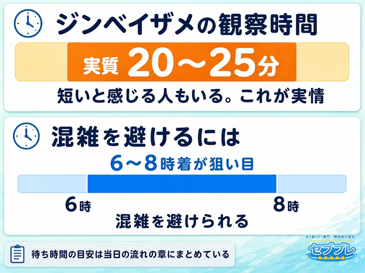 ジンベイザメの観察時間が短いという口コミ|実質20〜25分と6〜8時着の工夫|「短くてがっかりしない?」に、実質20〜25分と正直に先に言う。混雑を避けるなら6〜8時着。