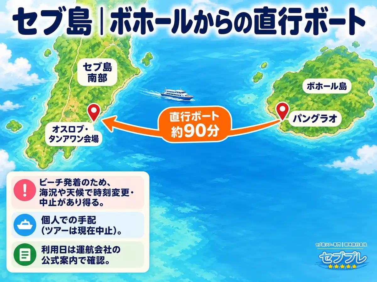 ボホールのパングラオからオスロブへ|直行ボート約90分|「ボホールに泊まっていてもジンベイザメへ行ける?」に、行けると答える。パングラオから直行ボートで約90分。ただしツアーは無く個人で船を手配する。