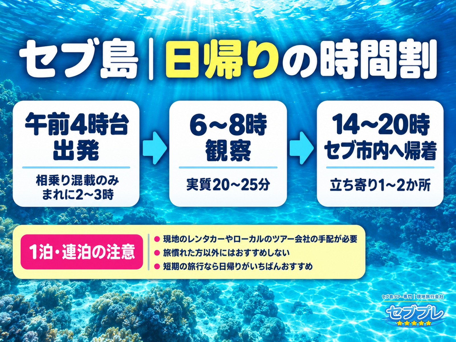 セブ島|日帰りの時間割|4時台出発・6〜8時観察・14〜20時帰着|「日帰りだと1日がどうなる?」に、実際の時刻で答える。午前4時台出発(混載はまれに2〜3時)、6〜8時に観察、14〜20時帰着。