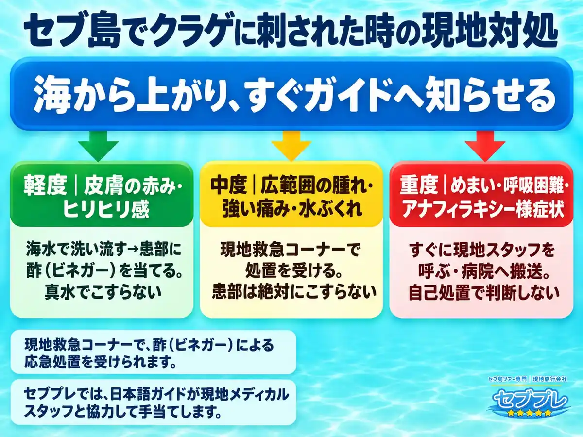 刺されたときの手当て(3段階)|症状の重さで、やることが変わることを1枚で。軽ければ自分で。重ければすぐ人を呼ぶ。