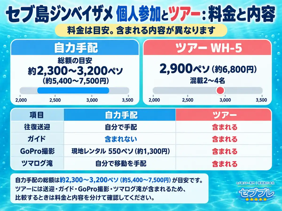 自力とツアー、いくら違う?(比較表)|「自分で行けば安い?」に、自力は約2,300〜3,200ペソ、ツアーは2,900ペソと実額を並べ、含まれる内容が違うことを答える。差は金額より手間と時間。
