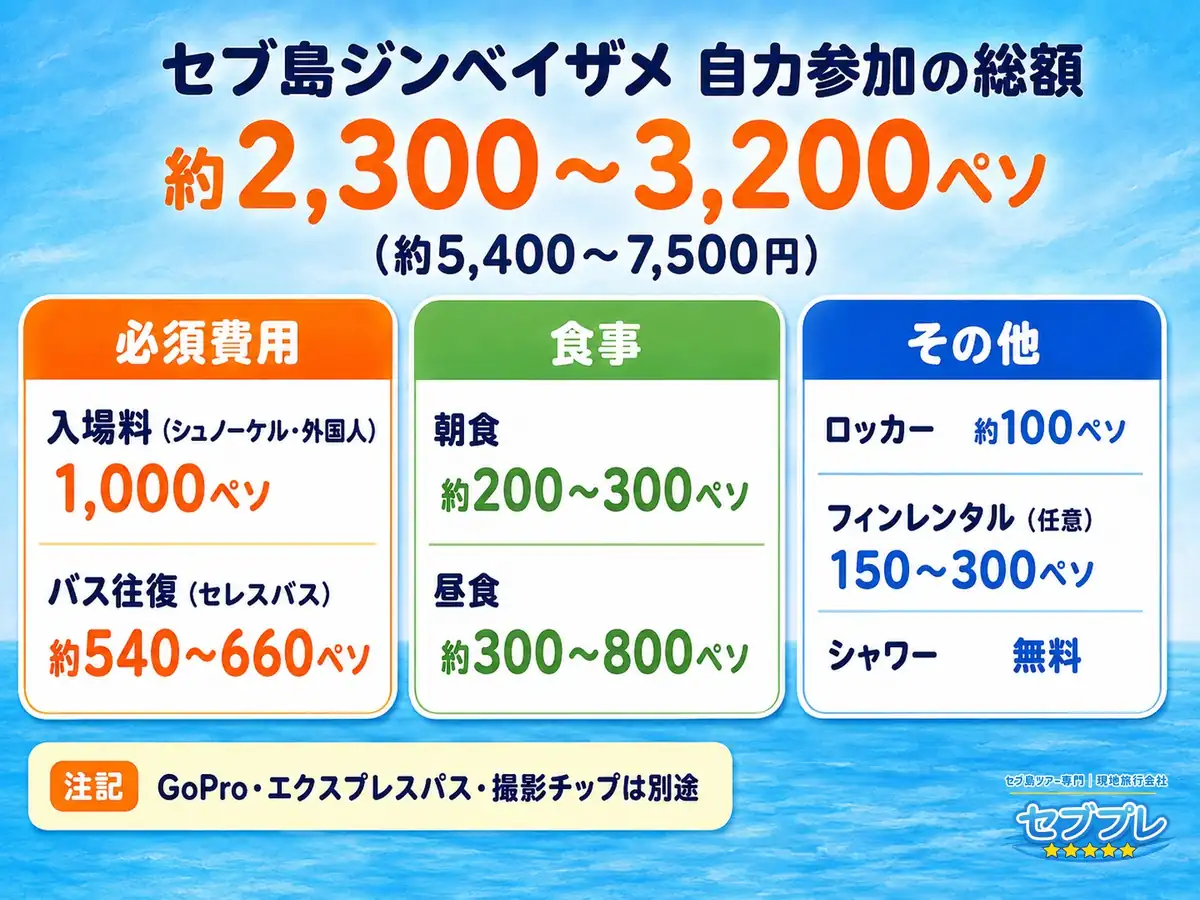 セブ市内からジンベイザメへ自力参加:総額の目安