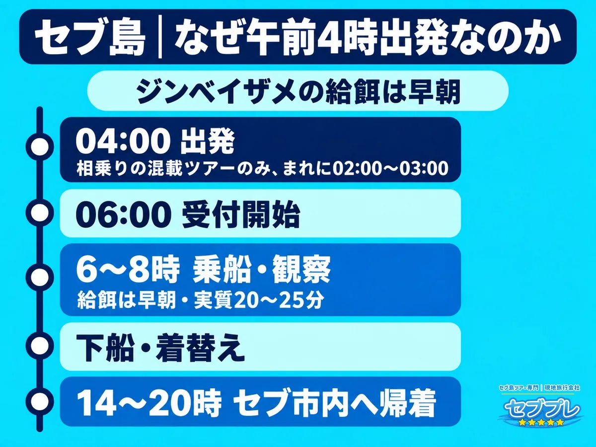 セブ島|なぜ午前4時出発なのか|「なんでそんなに早く出るの?」に、給餌が早朝だからと答える。6〜7時台に泳ぐには午前4時台の出発が基本(混載はまれに2〜3時台)。