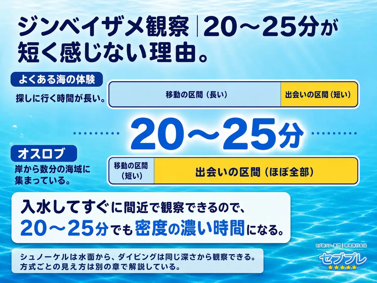 20〜25分が短く感じない理由|「20〜25分で足りるの?」に、移動に時間を取られないから密度が濃いと答える。岸から数分の海域に集まっている=入水してすぐ間近。