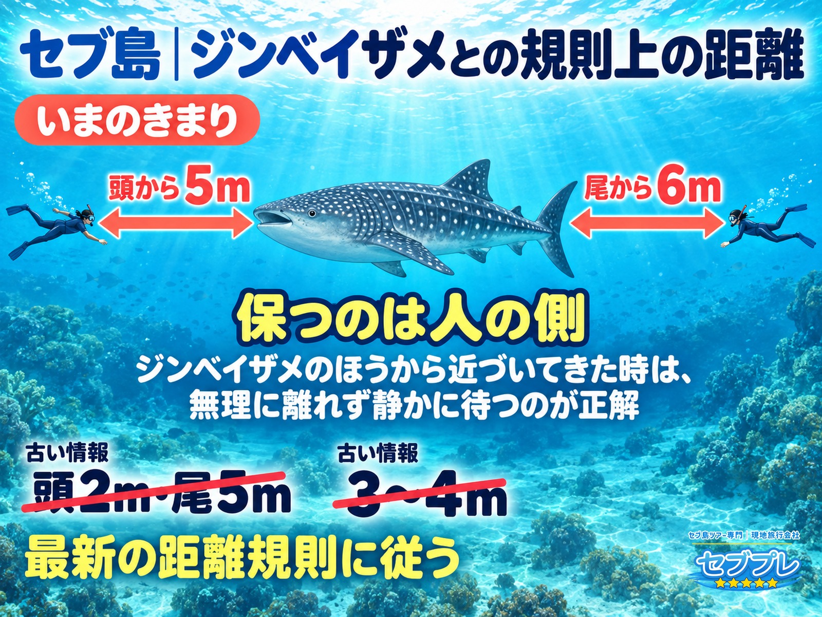 距離のきまり|古い数字に注意|距離は人の側が保つものであり、ネットに残る古い数字があることを1枚で。いまは頭から5m・尾から6m。
