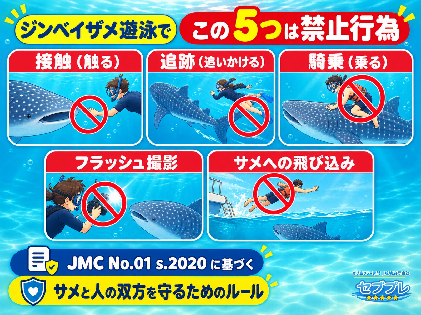 ジンベイザメ遊泳で禁止されている5つの行為|触る・追う・乗る・光・飛び込み|「やってはいけないことは?」に、5つと数えて答える。サメと人の双方を守るためのルール。この理由まで伝われば成功。