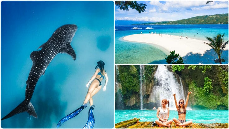 TP-WH-10：予約フォーム│Cebupre (セブプレ) / AK CEBU PRESTIGE