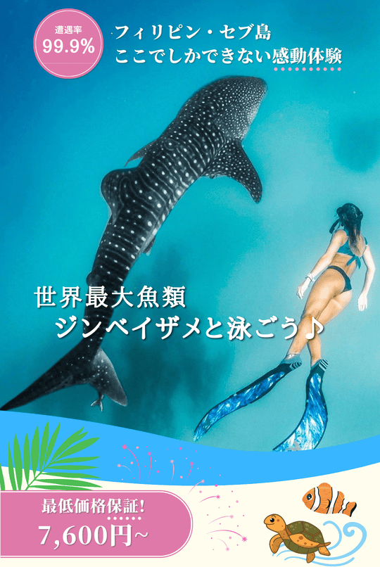 【セブ島でジンベイザメと泳ぐ】おすすめの時期・値段・安全性は？オスロブ周辺の観光名所もご紹介