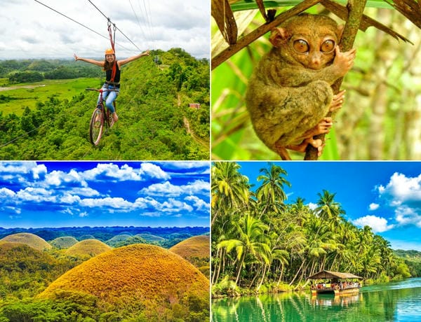 ボホール島ツアー