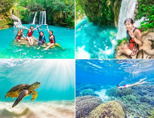 カワサン滝キャニオニング ＋モアルボアル"ウミガメ"ツアー