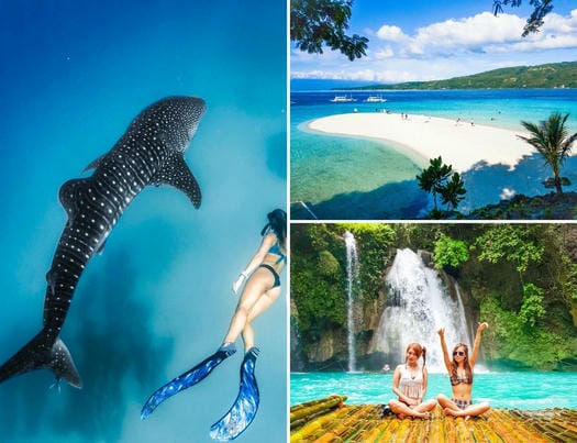 ジンベイザメと泳ぐ ＋スミロン島&カワサン滝ツアー