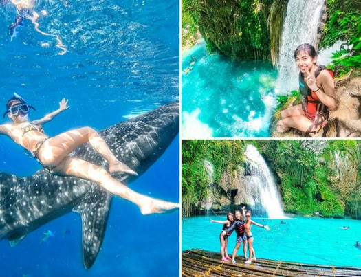 ジンベイザメと泳ぐ ＋カワサン滝キャニオニング＆ビーチ