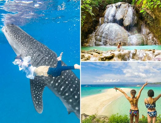 ジンベイザメと泳ぐ ＋アギニッド滝＆スミロン島ツアー